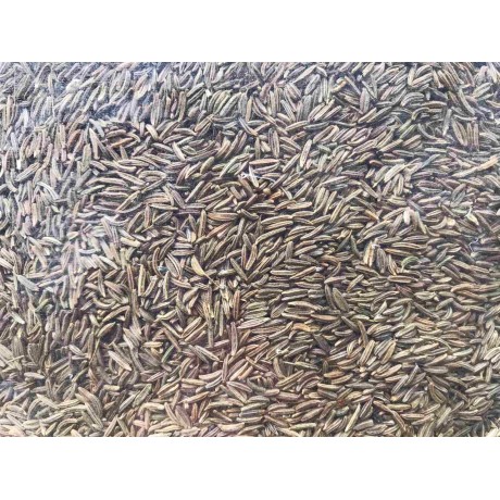 Специи (приправа) Тмин семена 1 кг